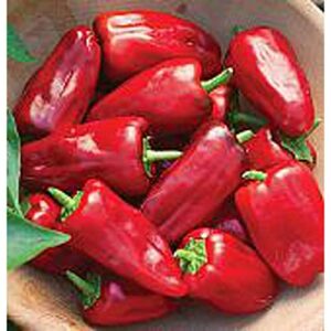 sweet heat sweet peppers seeds (20+ seeds) | non gmo | vegetable fruit herb flower seeds for planting | home garden greenhouse pack