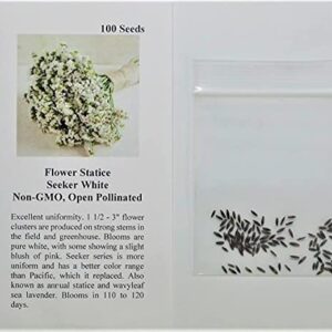 David's Garden Seeds Flower Statice Seeker White 3519 (White) 100 Non-GMO, Heirloom Seeds