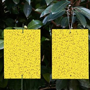 yellow sticky traps for gnats (20 pack) – sticky gnat trap – gnat killer – fruit fly paper – fly traps indoor sticky-yellow sticky traps fungus gnat – sticky traps for plants – fruit flies -dual-sided