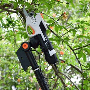 LIGO Electric Pruning Shears For Garden Cordless Rechargeable Power Pruner, Tree Branch Flowering Bushes Trimmers With Safety Protection,MAX 25mm(0.98 Inch) Cutting Diameter (Pruner w/Pole Extension)