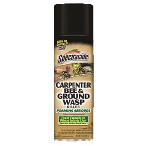 Spectrum Brands Pet Home & Garden HG-53371 Carpenter Bee and Yellowjacket Killer, 16-oz. Foaming Aerosol - Quantity 12