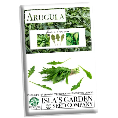 Astro Arugula Lettuce Seeds for Planting,1000+ Heirloom Seeds Per Packet, (Isla's Garden Seeds), Non GMO Seeds, Botanical Name: Eruca vesicaria SSP. Sativa, Great Home Garden Gift