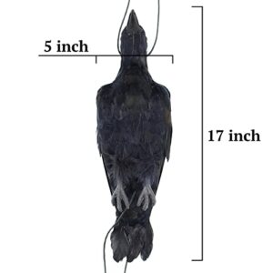 Etistta 17 inch Realistic Hanging Dead Crows Decoy Lifesize Extra Large Black Feathered Crow