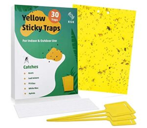 kgk sticky traps – 30 pack, dual-sided yellow sticky traps for fungus gnats, aphids, and other flying plant insects – 6×8 inches (twist ties and holders included)