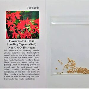 David's Garden Seeds Flower Native Texas Standing Cypress 3229 (Red) 100 Non-GMO, Heirloom Seeds