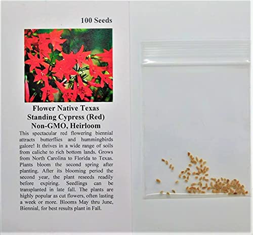 David's Garden Seeds Flower Native Texas Standing Cypress 3229 (Red) 100 Non-GMO, Heirloom Seeds