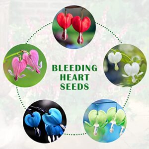 GARDENS 60 Pcs Mix Bleeding Heart Seeds for Planting Non-GMO Flower Seeds for Home Garden Decor Easy to Grow