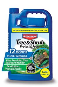 bioadvanced 12 month tree and shrub protect and feed ii, concentrate, 1 gal