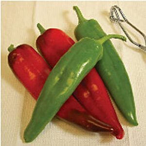biggie chile hot peppers seeds (20+ seeds) | non gmo | vegetable fruit herb flower seeds for planting | home garden greenhouse pack