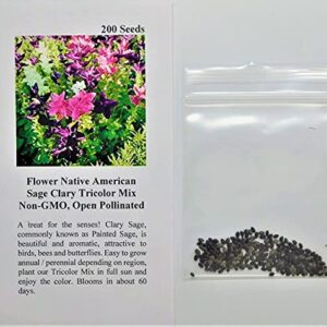 David's Garden Seeds Flower Native American Sage Clary Tricolor Mix (Multi) 200 Non-GMO, Open Pollinated Seeds