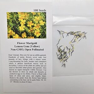 David's Garden Seeds Flower Marigold Lemon Gem 1112 (Yellow) 100 Non-GMO, Heirloom Seeds