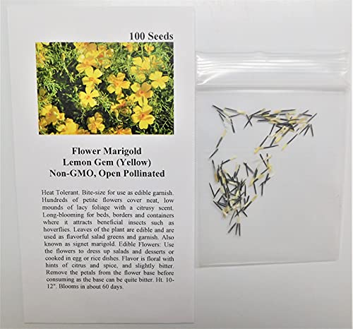 David's Garden Seeds Flower Marigold Lemon Gem 1112 (Yellow) 100 Non-GMO, Heirloom Seeds