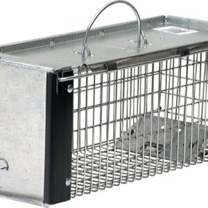 Havahart 0745 Extra Small 1-Door Humane Catch and Release Live Animal Trap for Squirrels, Chipmunks, Rats, Weasels, and Small Animals