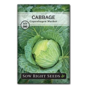 sow right seeds – copenhagen market cabbage seed for planting – non-gmo heirloom packet with instructions to plant and grow an outdoor home vegetable garden – early variety – wonderful gardening gift