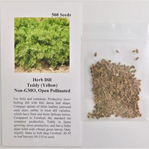 David's Garden Seeds Herb Dill Teddy 1248 (Green) 200 Non-GMO, Open Pollinated Seeds