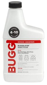 buggslayer insecticide concentrate 16-oz