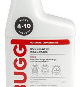 BUGGSLAYER Insecticide Concentrate 16-oz