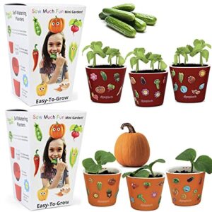 window garden sow much fun seed starting, vegetable planting and growing kit for kids, 3 self watering planters, soil, seeds and puffy stickers. no mess, easy, works great! (cucumber) & (pumpkin)
