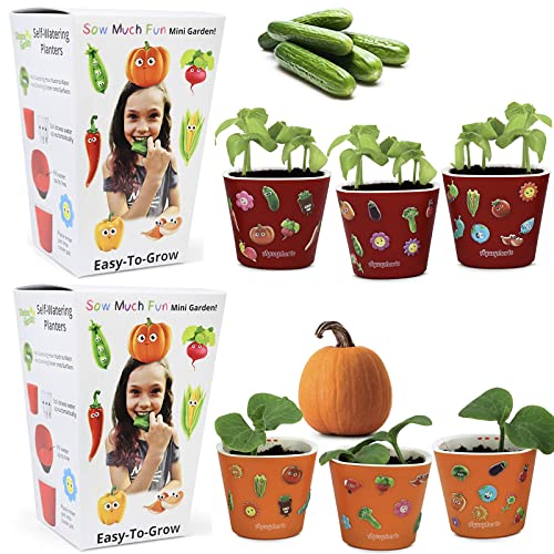 Window Garden Sow Much Fun Seed Starting, Vegetable Planting and Growing Kit for Kids, 3 Self Watering Planters, Soil, Seeds and Puffy Stickers. No Mess, Easy, Works Great! (Cucumber) & (Pumpkin)