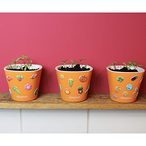 Window Garden Sow Much Fun Seed Starting, Vegetable Planting and Growing Kit for Kids, 3 Self Watering Planters, Soil, Seeds and Puffy Stickers. No Mess, Easy, Works Great! (Cucumber) & (Pumpkin)