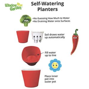 Window Garden Sow Much Fun Seed Starting, Vegetable Planting and Growing Kit for Kids, 3 Self Watering Planters, Soil, Seeds and Puffy Stickers. No Mess, Easy, Works Great! (Cucumber) & (Pumpkin)