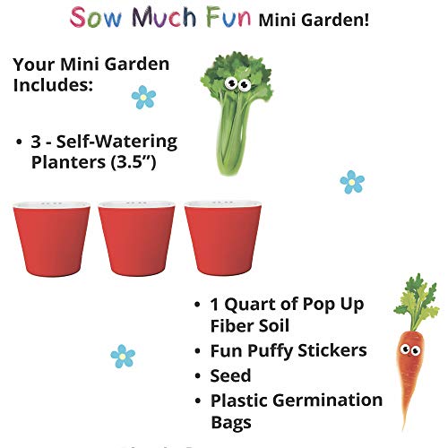 Window Garden Sow Much Fun Seed Starting, Vegetable Planting and Growing Kit for Kids, 3 Self Watering Planters, Soil, Seeds and Puffy Stickers. No Mess, Easy, Works Great! (Cucumber) & (Pumpkin)