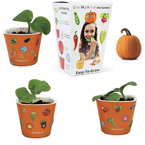 Window Garden Sow Much Fun Seed Starting, Vegetable Planting and Growing Kit for Kids, 3 Self Watering Planters, Soil, Seeds and Puffy Stickers. No Mess, Easy, Works Great! (Cucumber) & (Pumpkin)