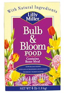 lilly miller bulb & bloom food 4-10-10 4lb 100099089