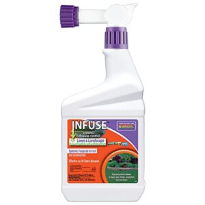 bonide infuse systemic disease control, 32 oz ready-to-spray solution for lawn & landscape, fungicide for turf & ornamentals