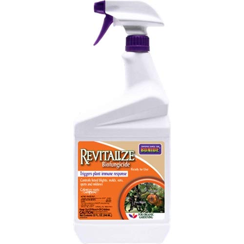 Fungicide Liquid 32OZ