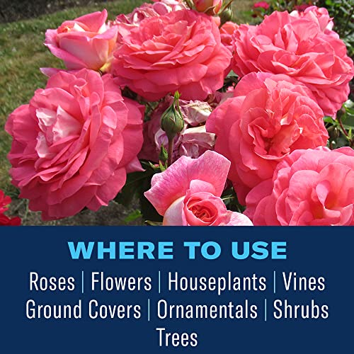 BioAdvanced All-In-One Rose & Flower Spray, Ready-to-Spray, 32 oz