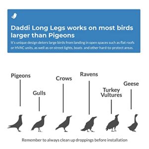 Bird Barrier Daddi Long Legs Spider Bird Repellent Devices- Waving Stainless Steel Roof & Dock Bird Deterrent - Repel Seagull, Pigeon, Duck - Safe Pest Control - 2-Ft Diameter