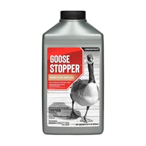 messina wildlife gs-c-032 goose stopper quart concentrate, 1 quart