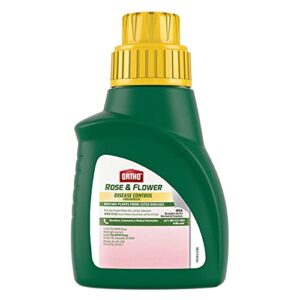 Ortho Rose & Flower Disease Control Concentrate, 16 oz