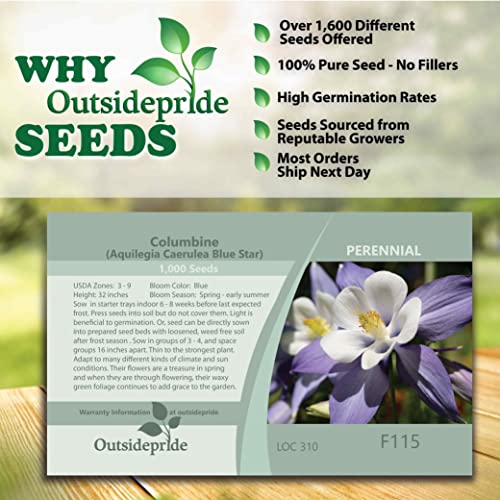 Outsidepride Aquilegia Columbine Blue Star Garden Flower Plant Seeds - 1000 Seeds