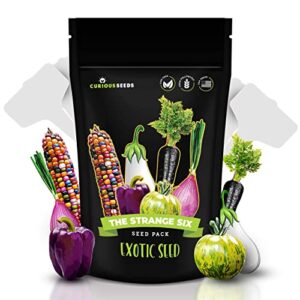 exotic vegetable seeds variety pack – 6 curious garden varieties to grow, non gmo, open pollinated, heirloom, and untreated for planting, unique gardening gift for indoors and outdoors