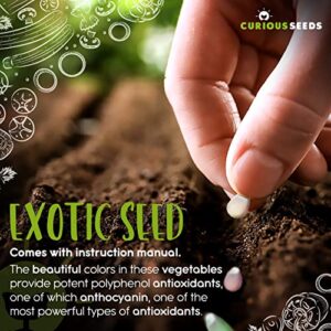 Exotic Vegetable Seeds Variety Pack - 6 Curious Garden Varieties to Grow, Non GMO, Open Pollinated, Heirloom, and Untreated for Planting, Unique Gardening Gift for Indoors and Outdoors