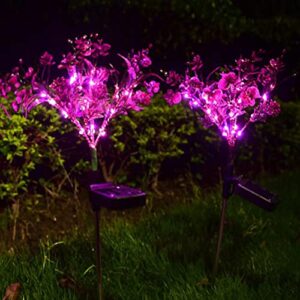 Aolyty Solar Lights Outdoor Garden Decorative, 2 Pack Solar Powered Phalaenopsis Flowers Lights Waterproof IP65 Solar In-Ground Lights, for Garden, Yard, Patio, Lawn Decor