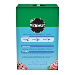 Miracle-Gro 1000701 Pound (Fertilizer for Acid Loving Plant Food for Azaleas, Camellias, and Rhododendrons, 1.5, 1.5 lb