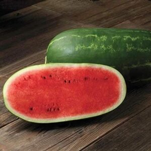 david’s garden seeds fruit watermelon cal sweet 1298 (red) 50 non-gmo, heirloom seeds