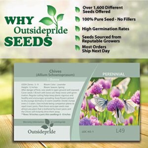 Outsidepride Allium Chives Culinary Herb Garden Plants for Cooking, Pollination, & Dried Arrangements - 1 OZ