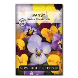 sow right seeds – pansy swiss giants mix flower seeds for planting – colorful flower blend to plant in your garden – non-gmo heirloom seeds – hardy annual, early spring favorite – great gardening gift