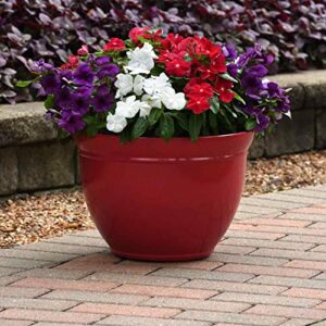Outsidepride Vinca Periwinkle American Pie Garden Flower, Ground Cover, & Container Plant Mix - 50 Seeds