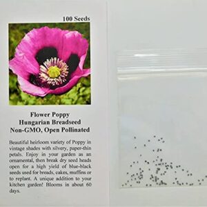David's Garden Seeds Flower Poppy Hungarian Breadseed (Purple) 100 Non-GMO, Open Pollinated Seeds