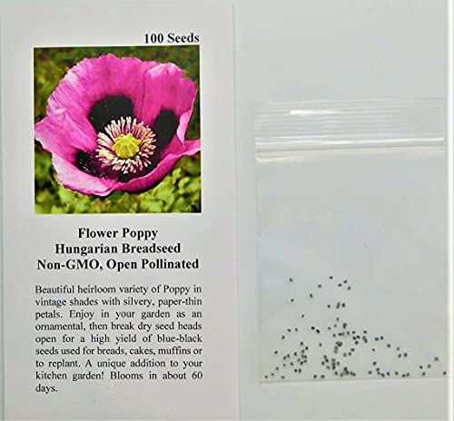 David's Garden Seeds Flower Poppy Hungarian Breadseed (Purple) 100 Non-GMO, Open Pollinated Seeds