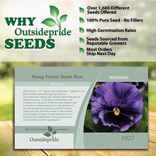 Outsidepride Viola Pansy Frizzle Sizzle Blue Indoor House Plant Or Outdoor Garden Flower for Beds, Borders Pots, & Containers - 50 Seeds