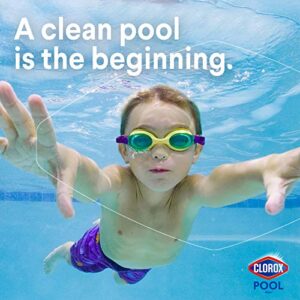 Clorox Pool&Spa 12105CLX pH Down, 5 lb