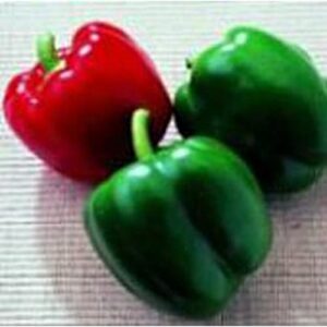 king of the north sweet peppers seeds (20+ seeds) | non gmo | vegetable fruit herb flower seeds for planting | home garden greenhouse pack