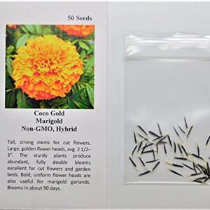 David's Garden Seeds Flower Marigold Coco Gold 7492 (Multi) 25 Non-GMO, Heirloom Seeds