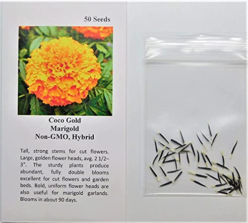 David's Garden Seeds Flower Marigold Coco Gold 7492 (Multi) 25 Non-GMO, Heirloom Seeds